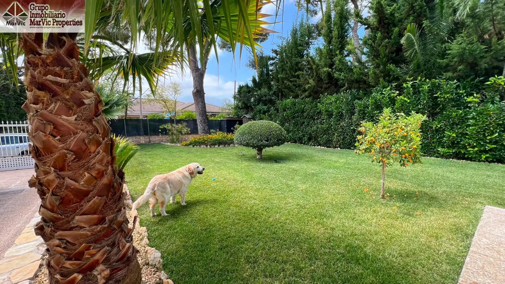 Jardín de Casa o chalet en venta en Benidorm con Aire acondicionado, Terraza y Piscina