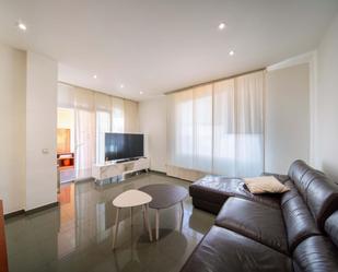 Living room of House or chalet for sale in Santa Margarida de Montbui  with Air Conditioner, Heating and Private garden
