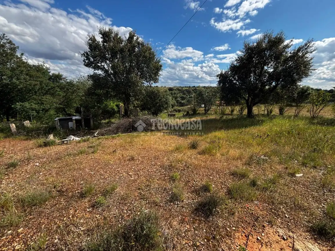 Finca rústica en venta en Carretera de Sevilla - Los Montitos