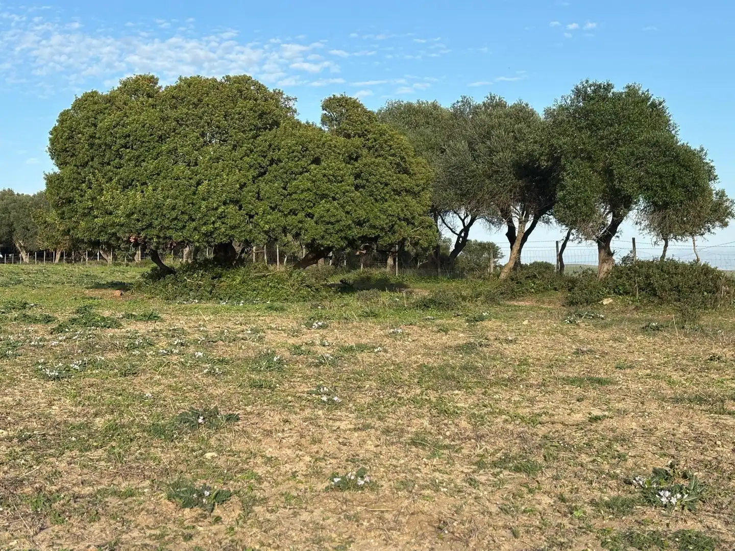 Terreni e lotti in vendita a Vejer, imagen 26