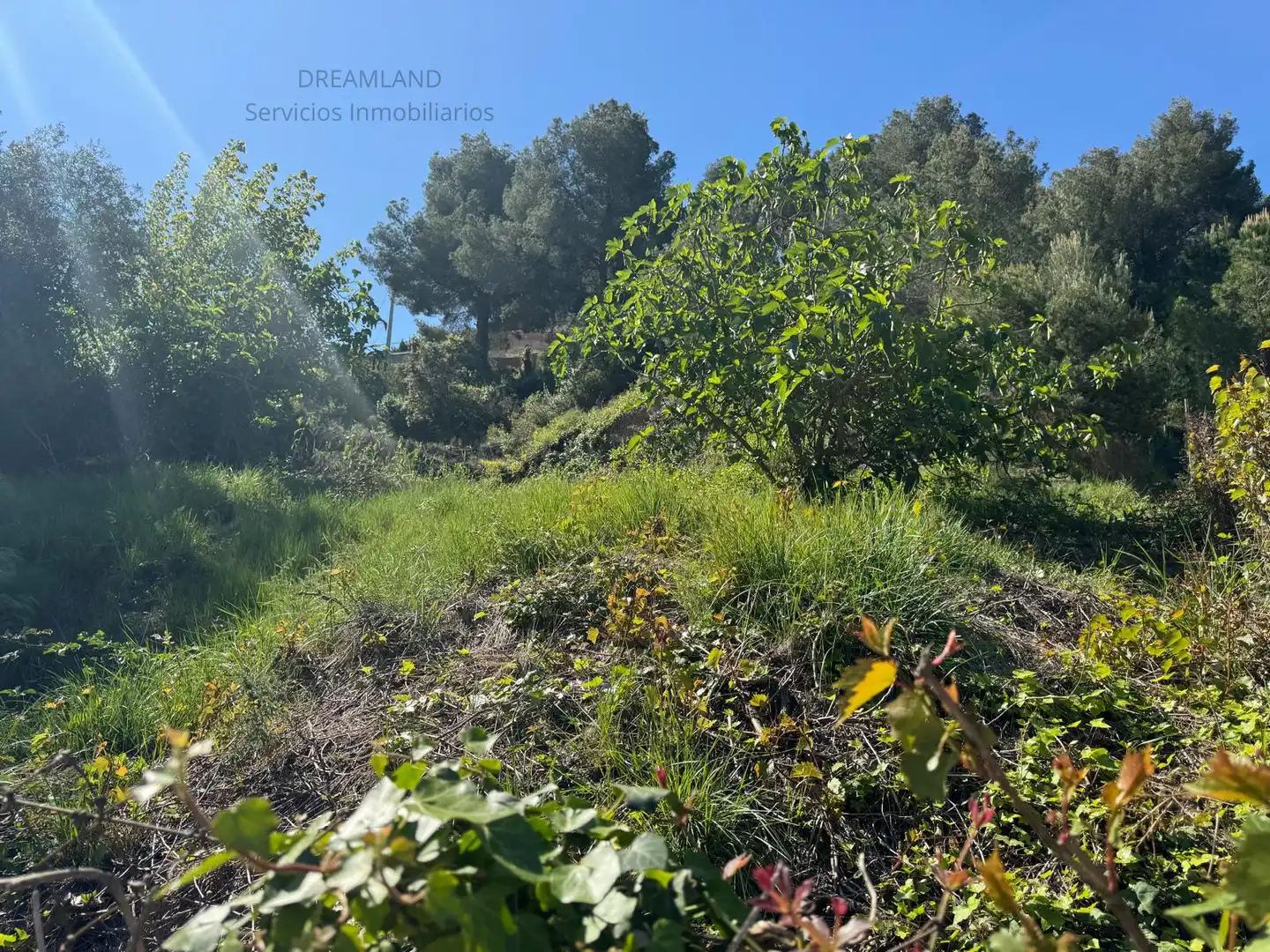 Terreno rustico in vendita a Piera