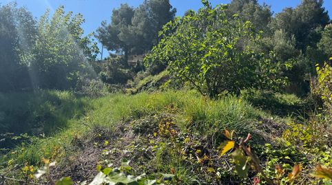 Terreno en urbanización