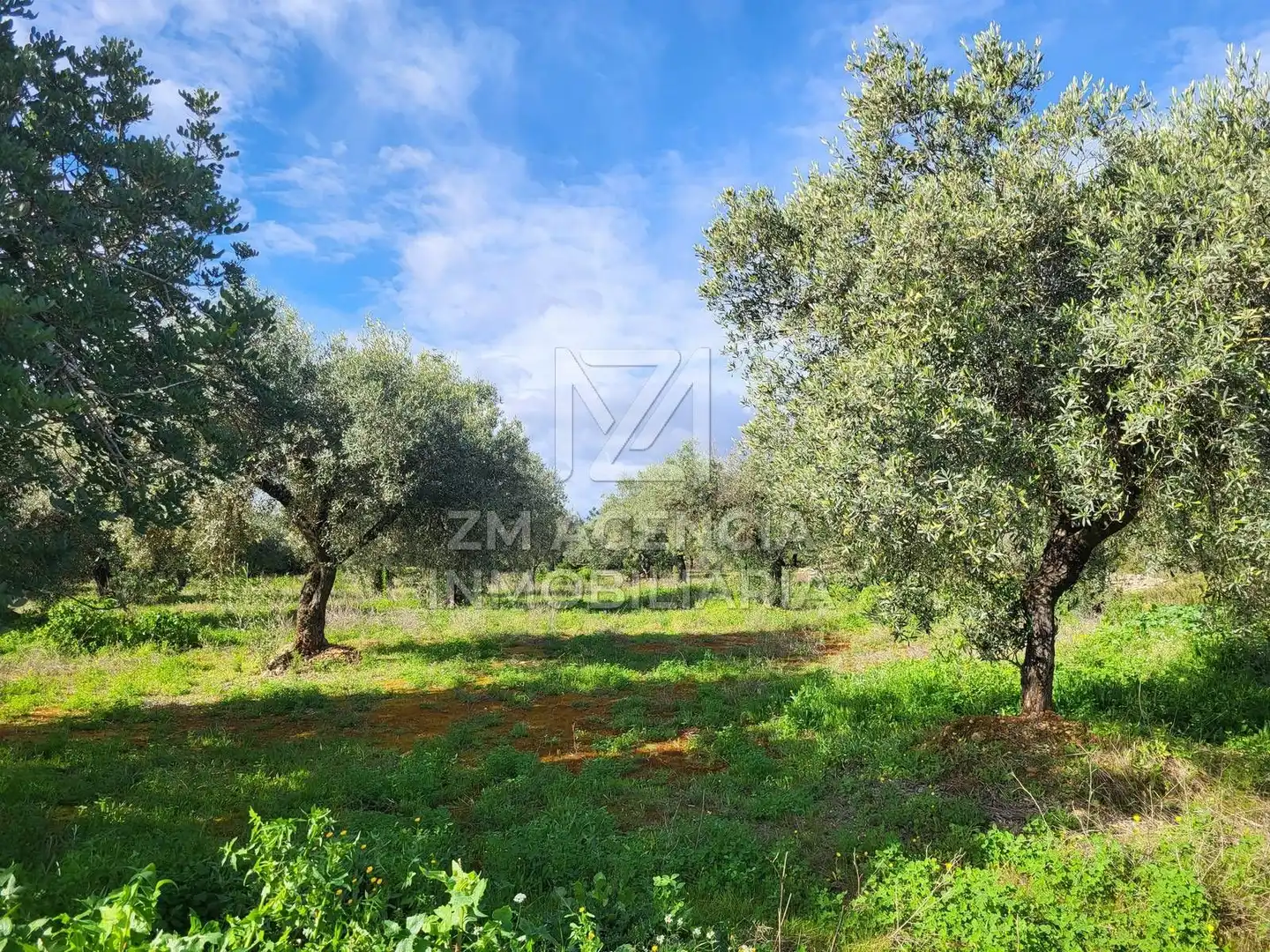 Rural land for sale in Vilarets, imagen 8