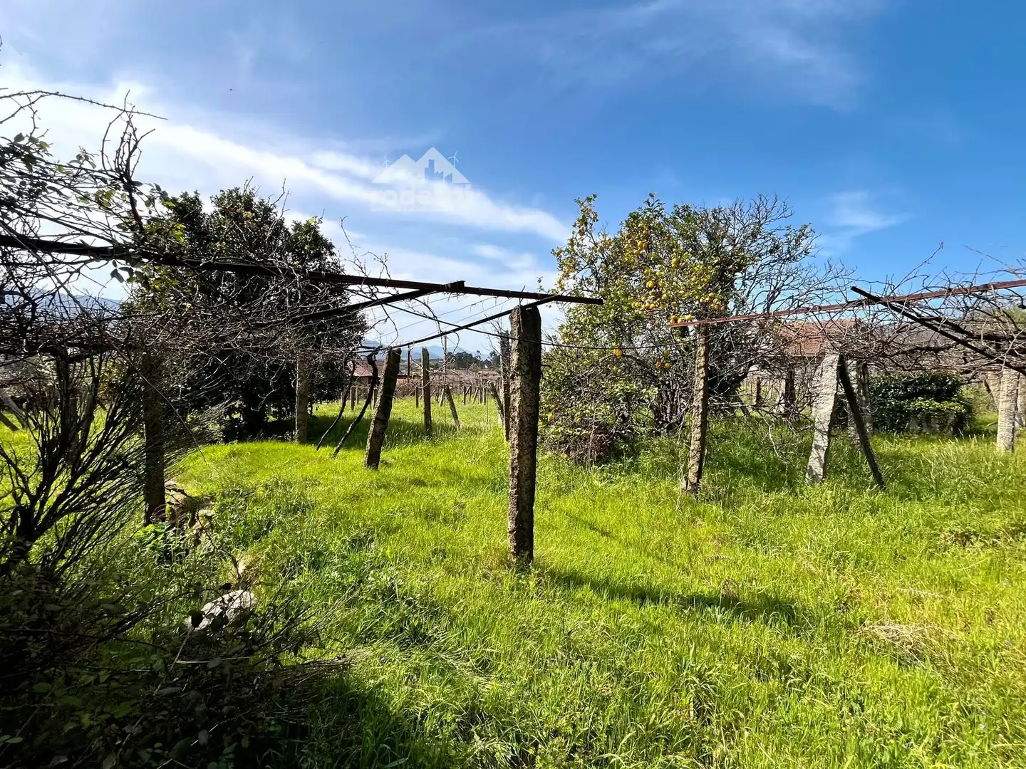 Casa o chalet en venta en Arbo