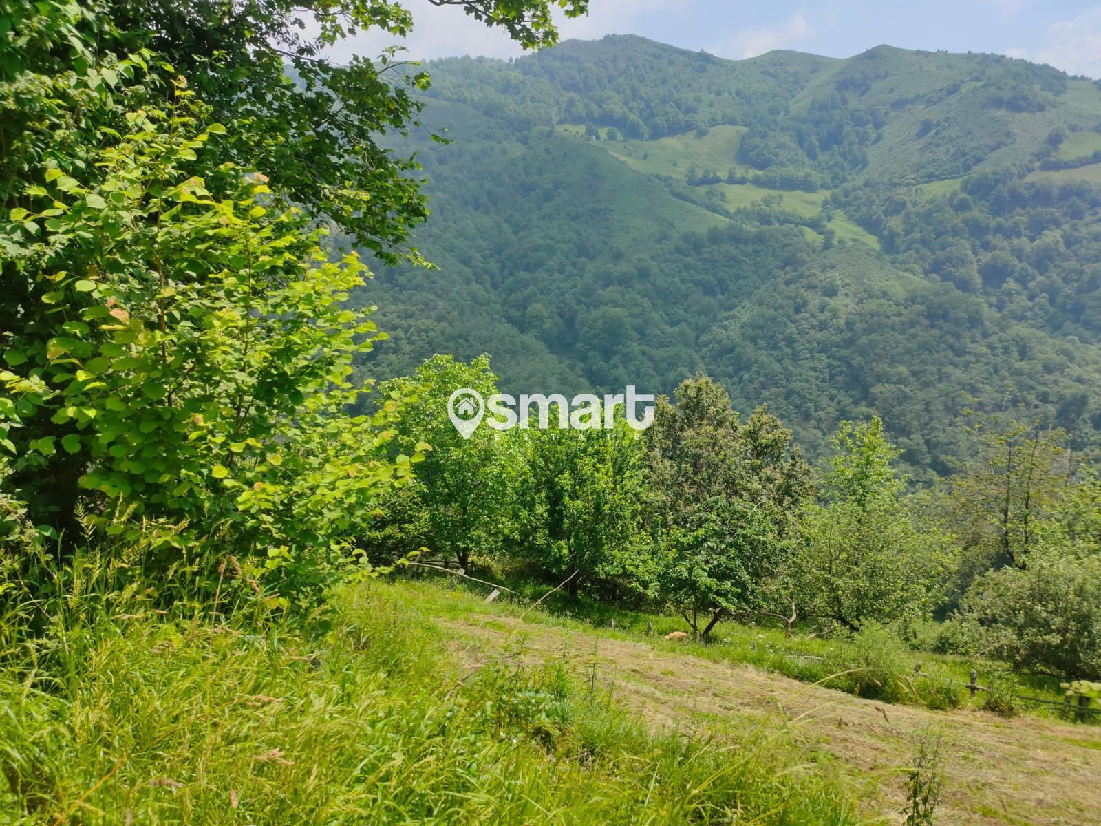 Casa o chalet en venta en LLANACEU, Laviana