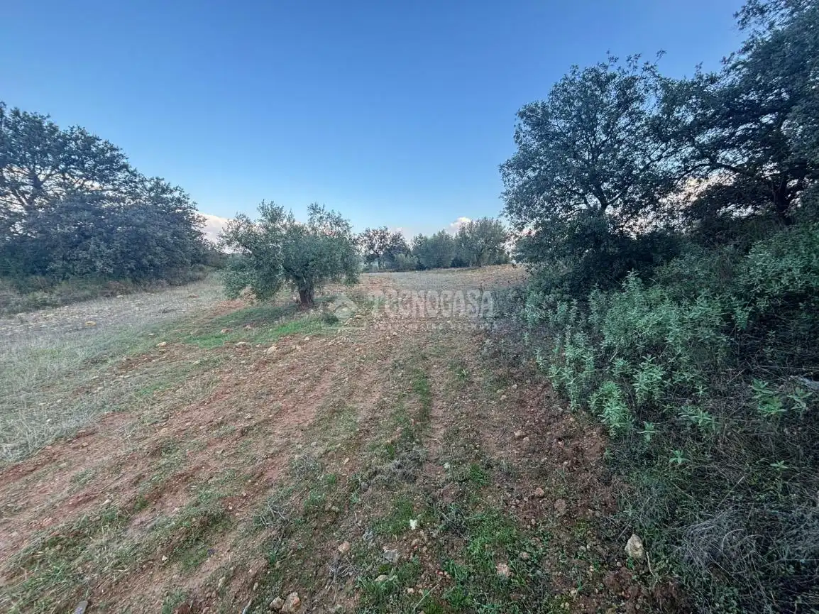Terreni e lotti in vendita a Centro, imagen 4