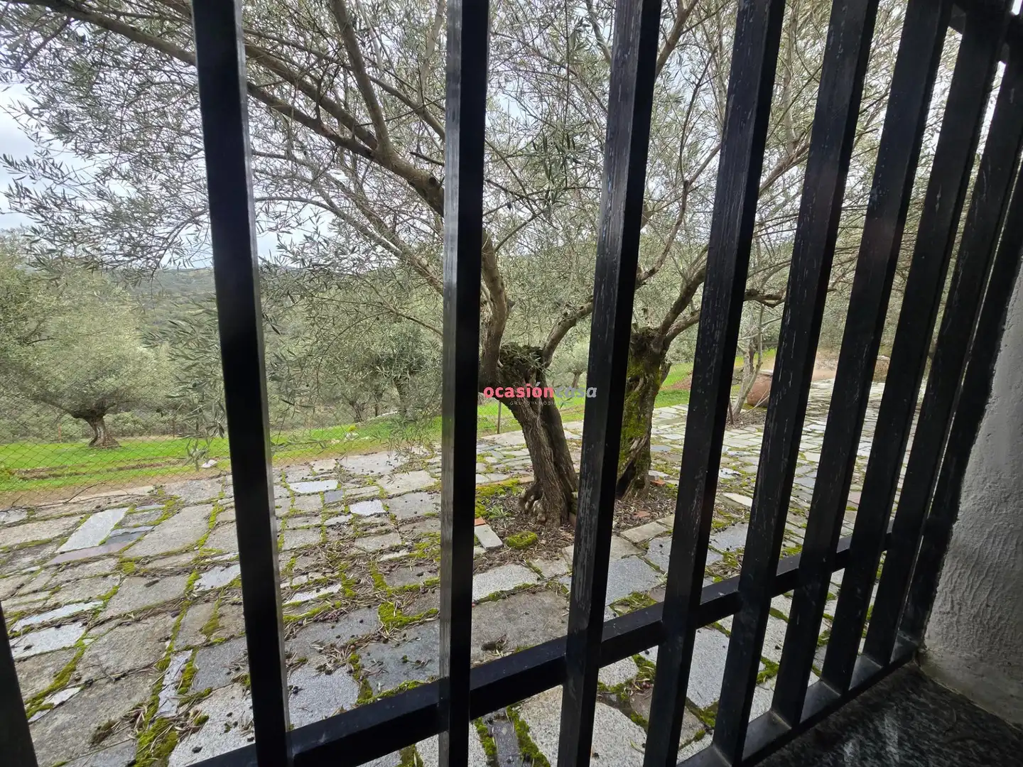 Casa rústica en venta en Pozoblanco, imagen 16
