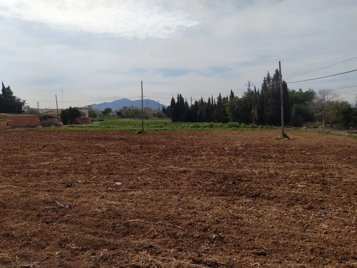 Terrain résidentiel à vendre à Avinguda Catalunya 245, imagen 3