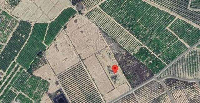 Terreno en Venta en Sangonera la Seca