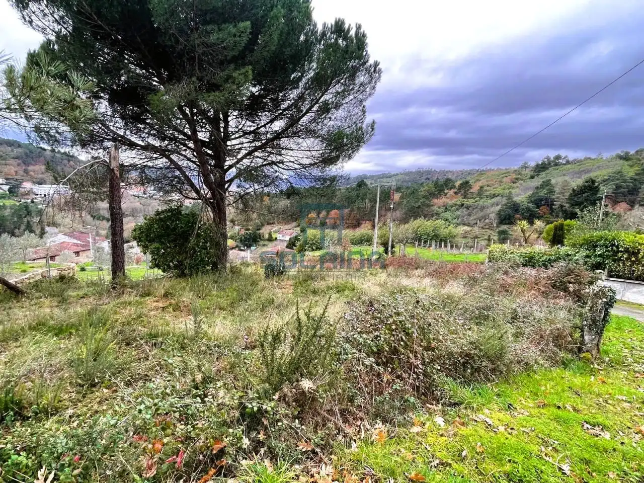 Terreni e lotti in vendita a O Pereiro de Aguiar, imagen 7