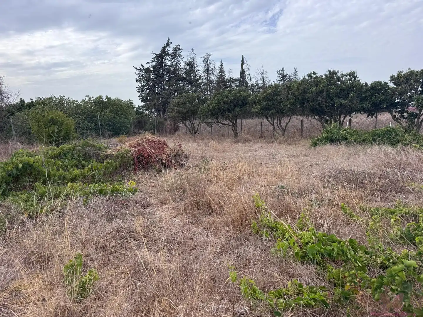 Finca rústica en venda en Chiclana de la Frontera amb Aire condicionat, Calefacció i Traster