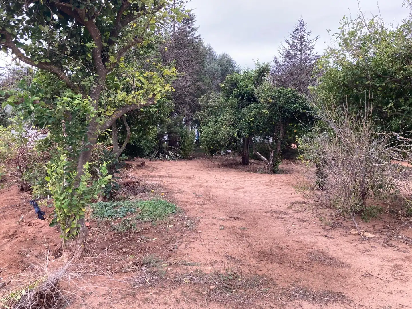 Casa rústica amb jardí en venda a Vejer, imagen 22