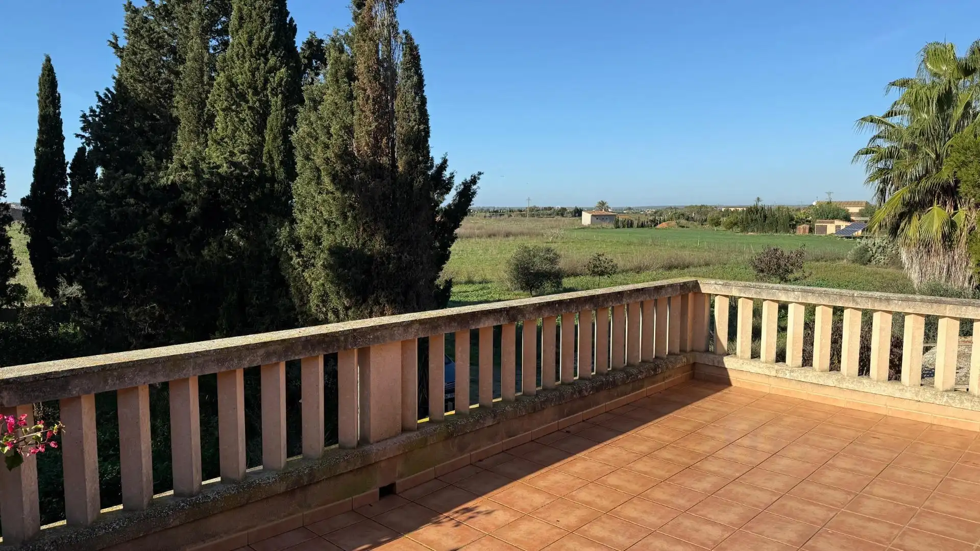 Finca rústica en venta en Camino del palmer, 528, Zona Rústica - Interior
