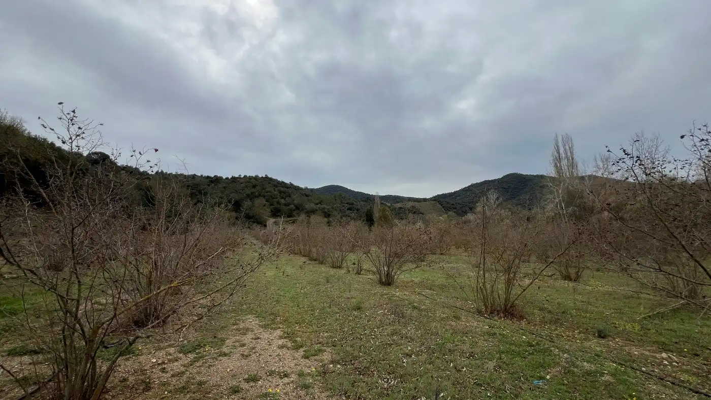 Casa o chalet en venta en C-242, 48, Cornudella de Montsant