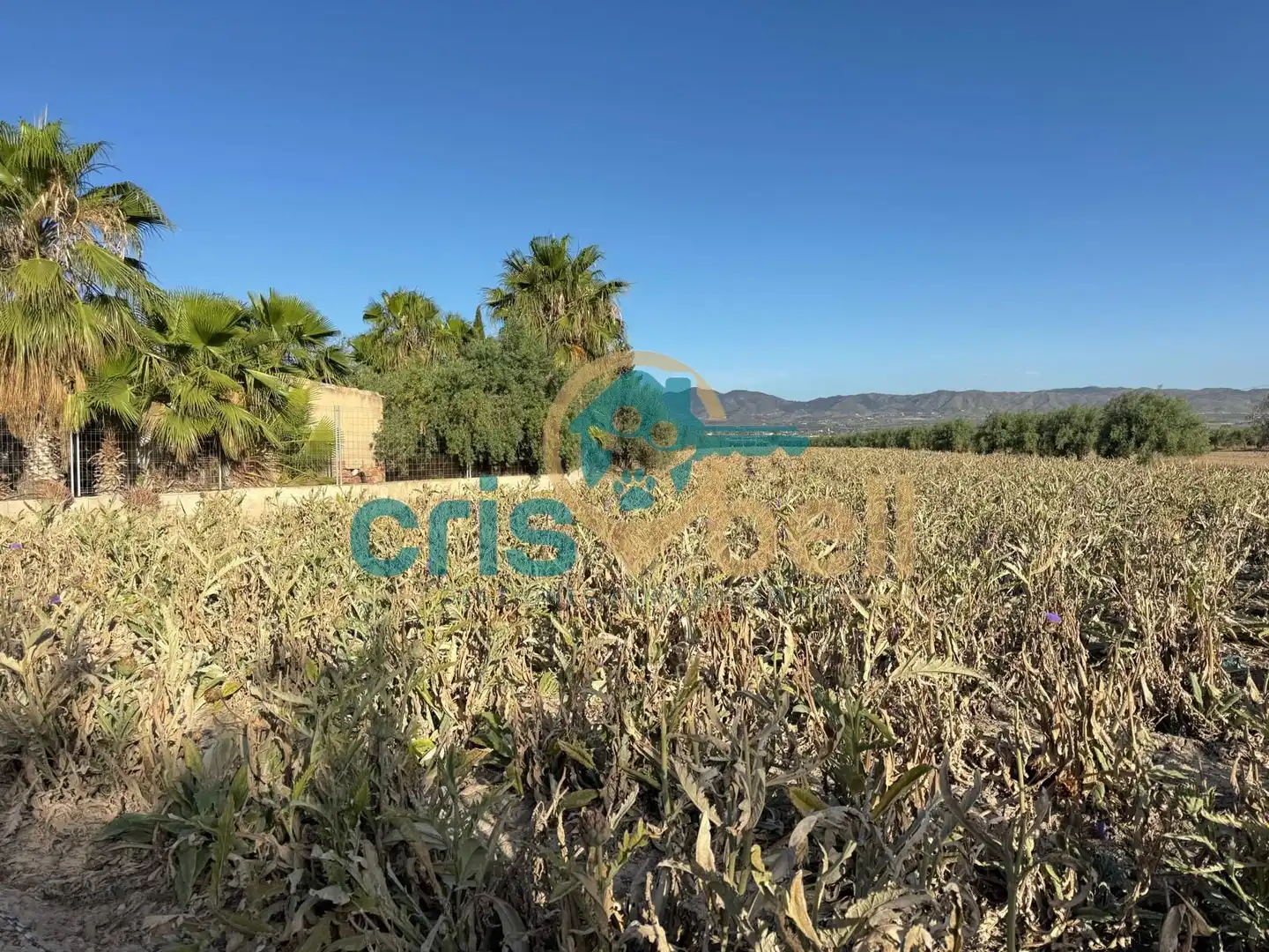Casa o chalet en venta en Lorca con Aire acondicionado, Jardín privado y Amueblado