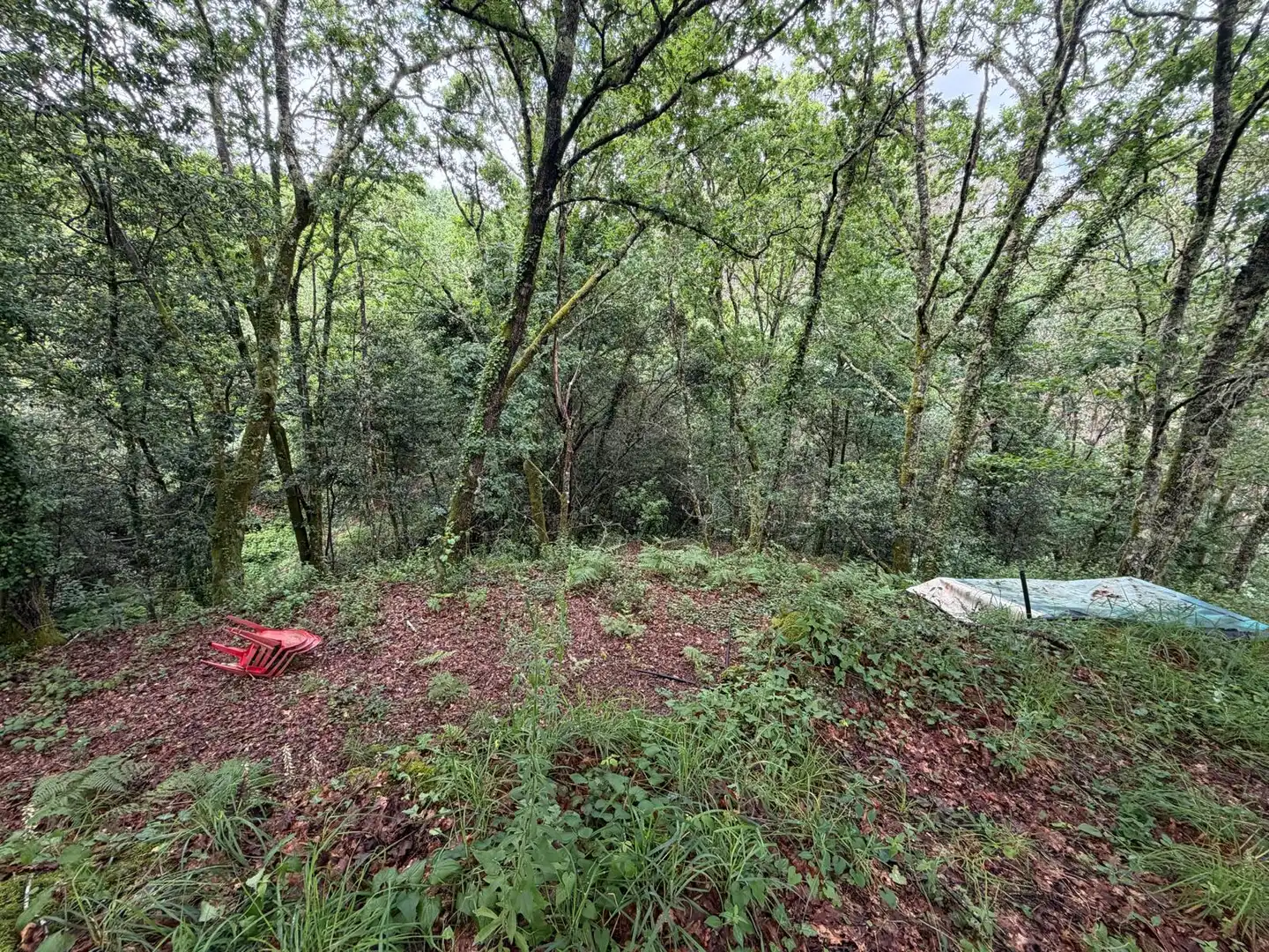 Casa o chalet en venta en A Cañiza   con Jardín privado