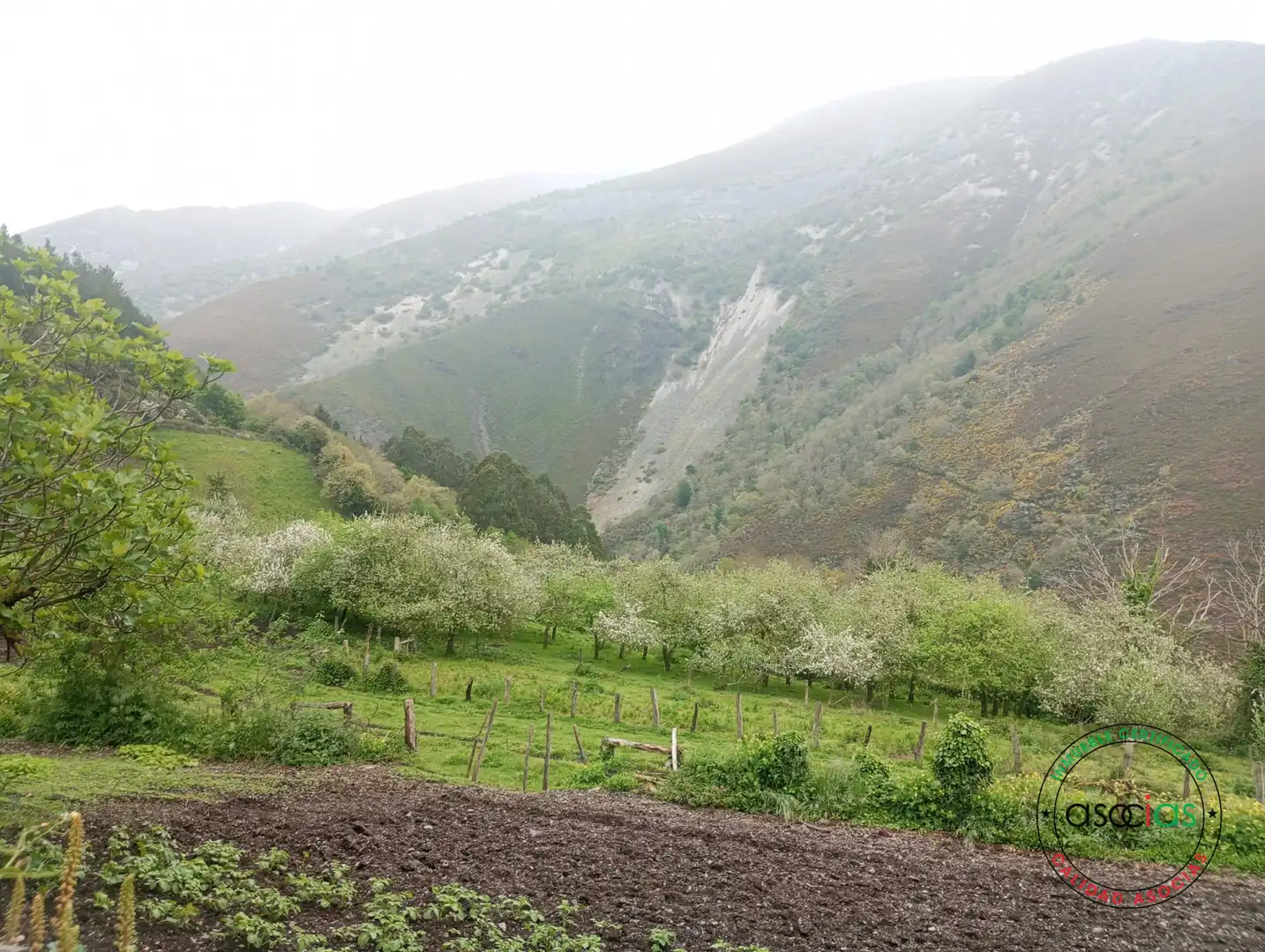 Vista exterior de Casa o chalet en venta en Allande con Calefacción y Trastero