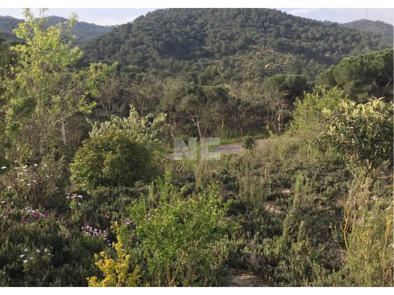 Rural land for sale in Vilanova del Vallès, imagen 10