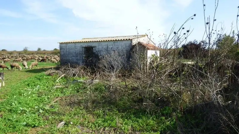 Nave industrial en venta en Puebla de la Calzada