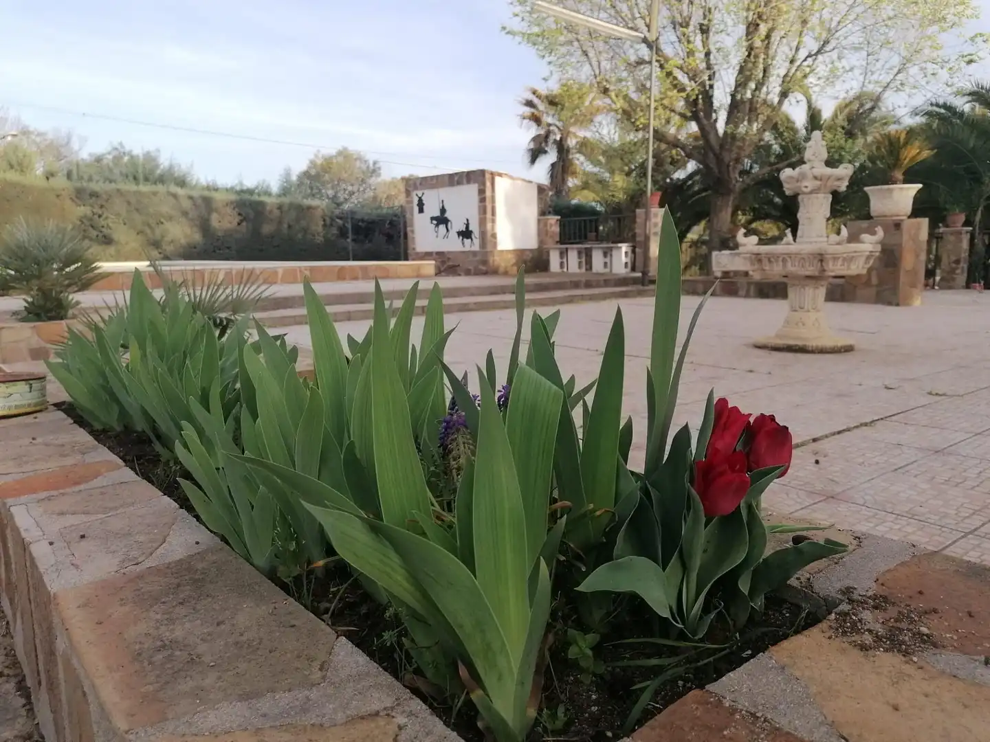 Vista exterior de Casa o chalet en venta en Brazatortas con Aire acondicionado, Calefacción y Jardín privado