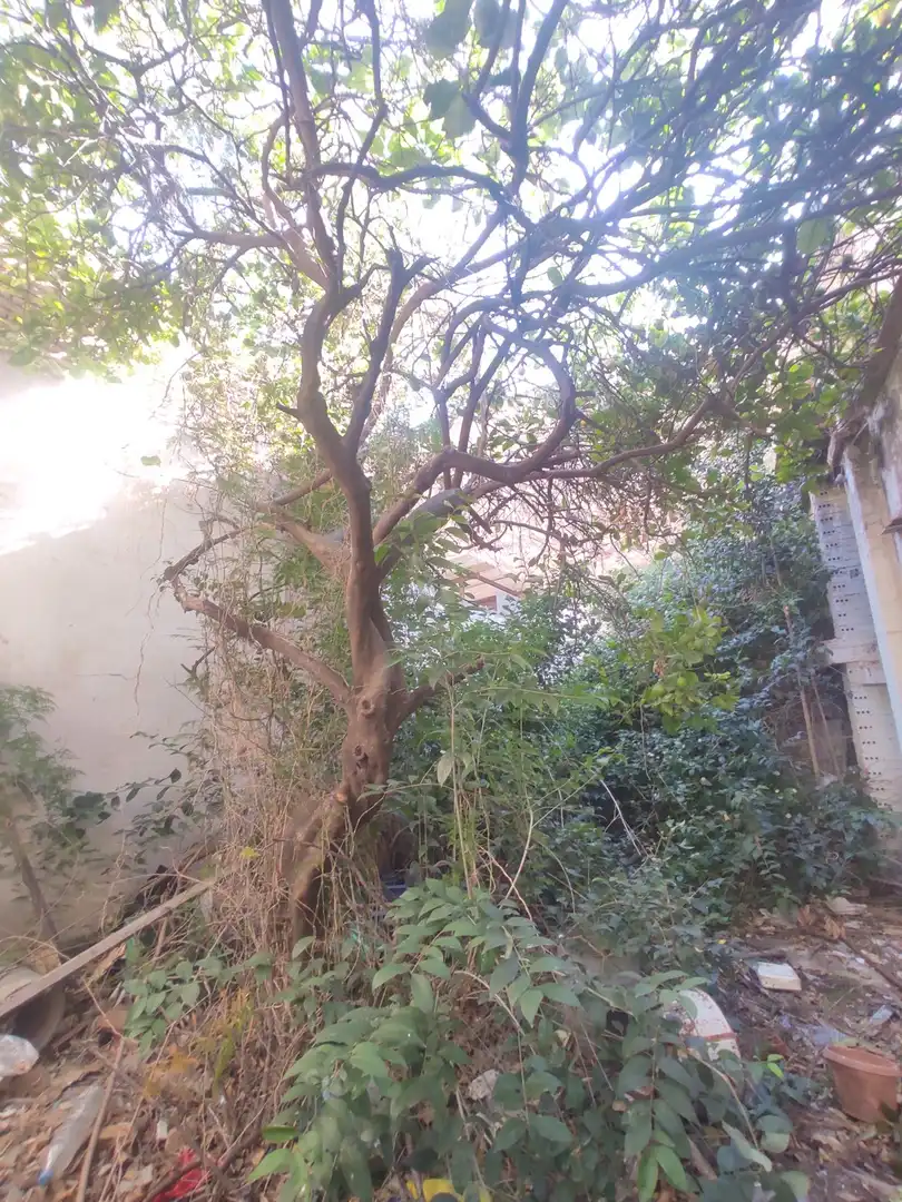 Maison mitoyenne à vendre à Foios, imagen 6