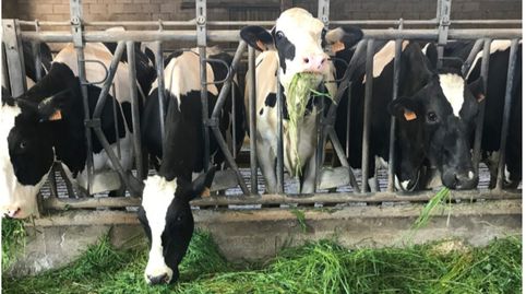 Foto 2 de Terreno en venta en Praza Covadonga, Ventiun, Ourense Capital