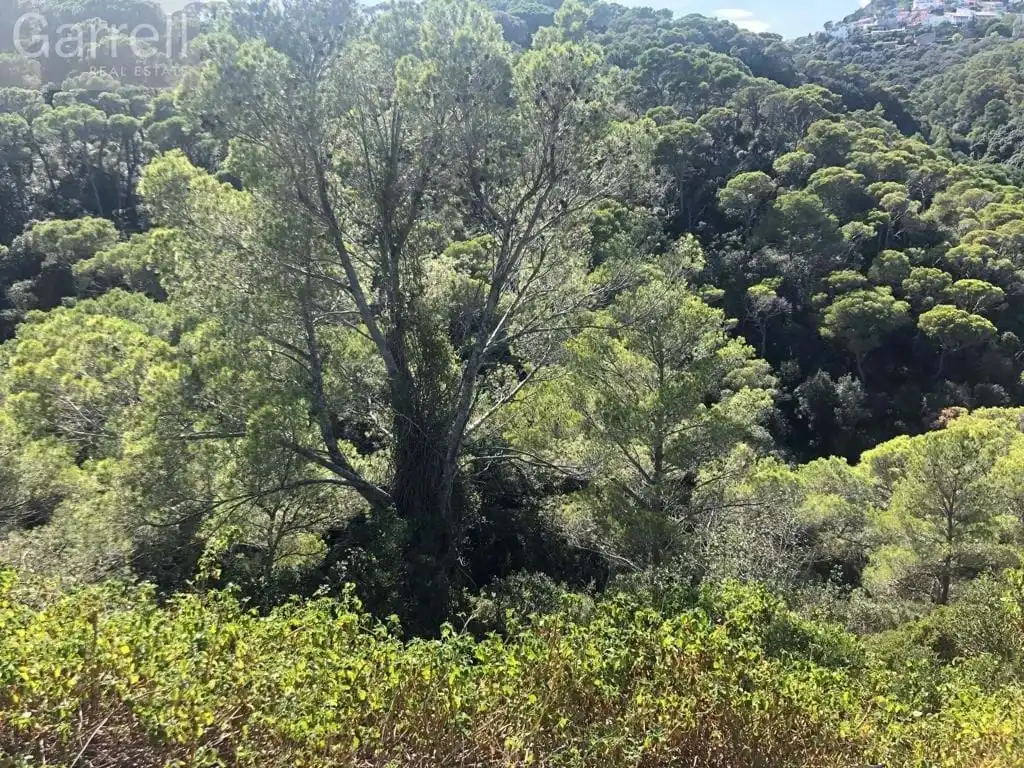 Grundstücke und Bauplätze zum Verkauf in CR SA TUNA 
 BEGUR (GIRONA), imagen 7