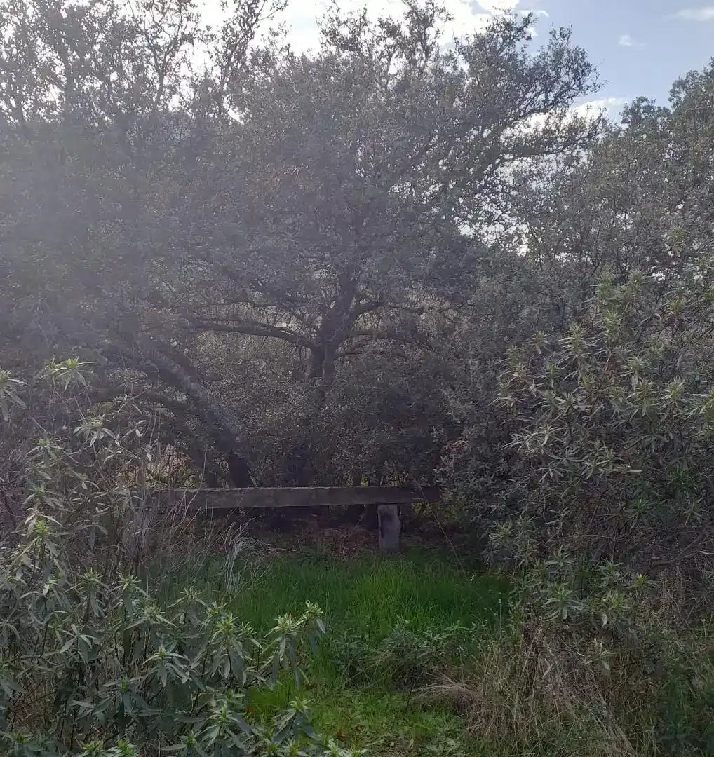 Finca rústica en venda en Hornachos amb Balcó