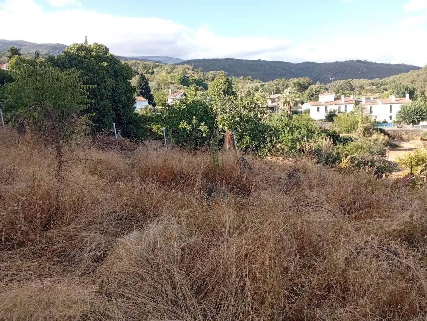 Terreni e lotti in vendita a Villanueva de la Vera, imagen 21