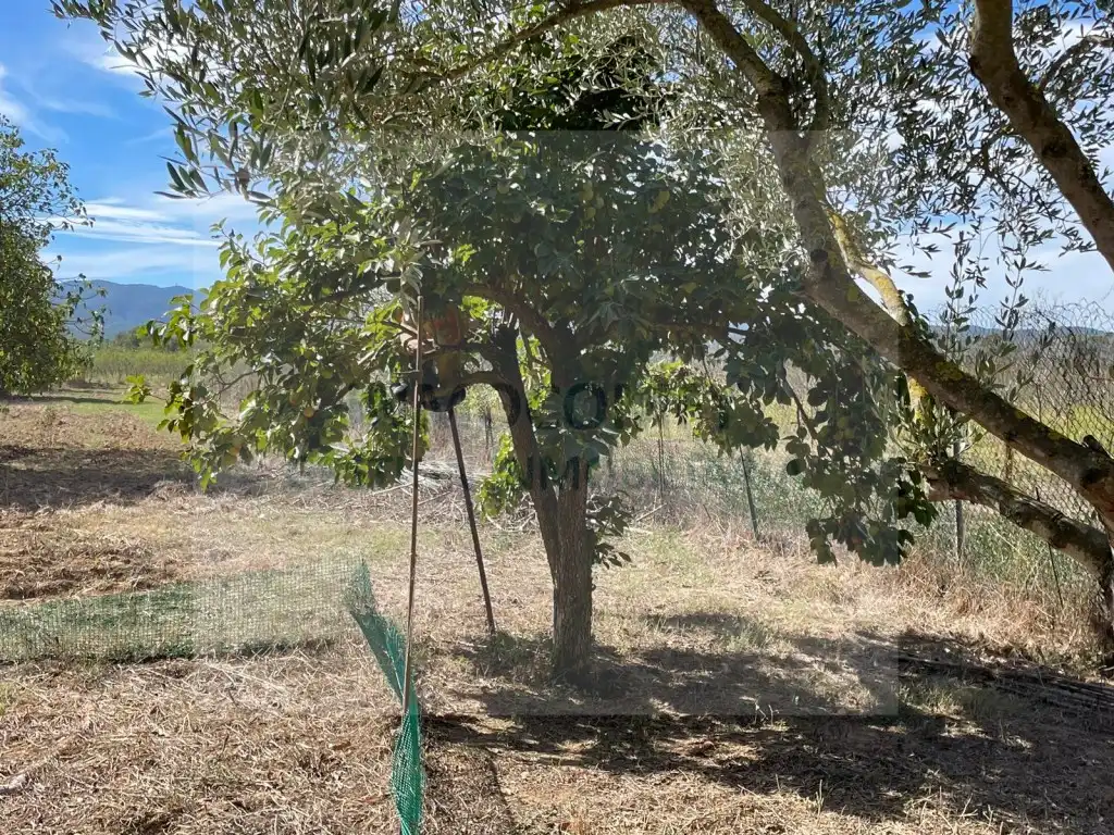 Rural land for sale in Calle Bordeta, imagen 10
