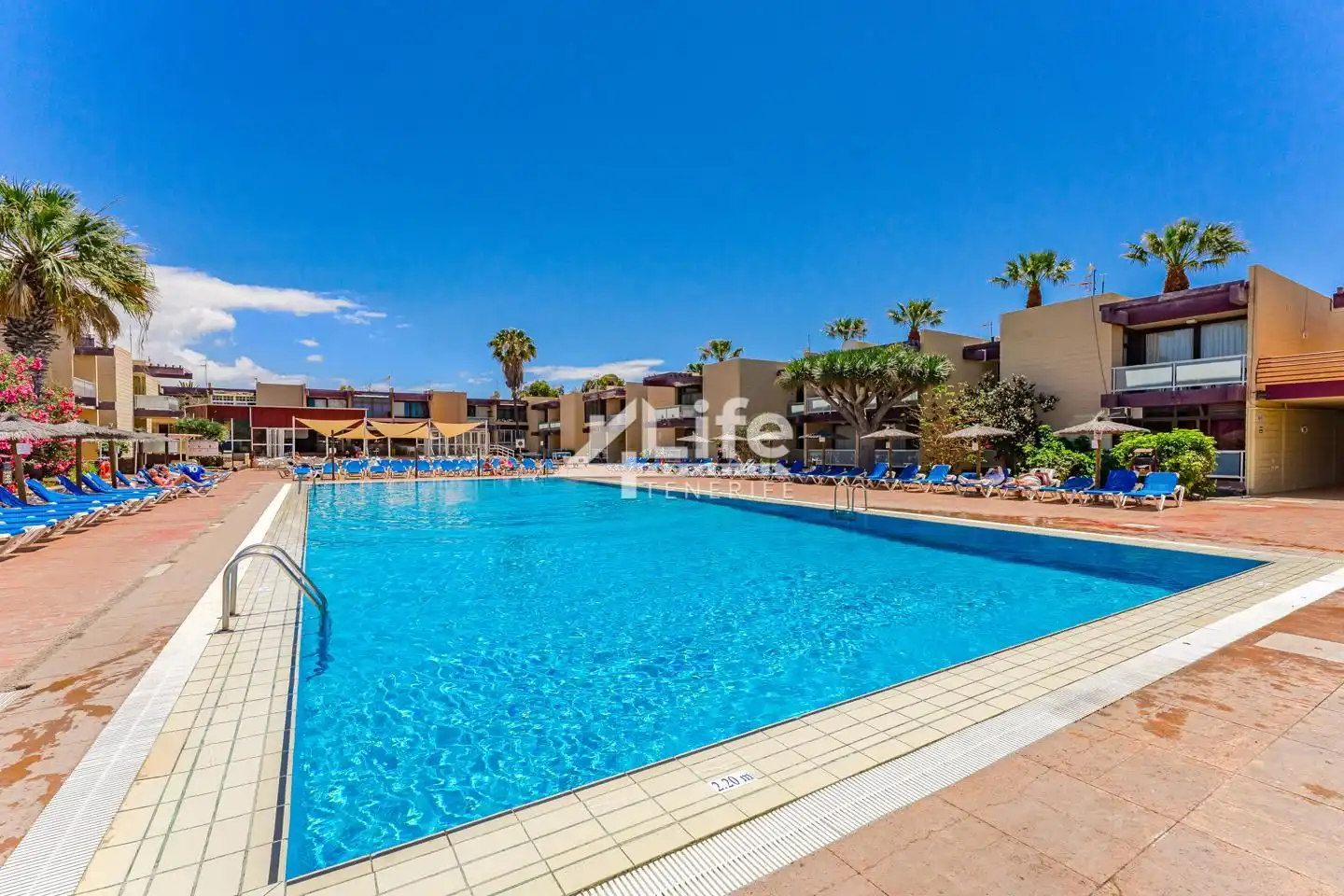Piscina de Piso en venta en Arona con Terraza y Amueblado