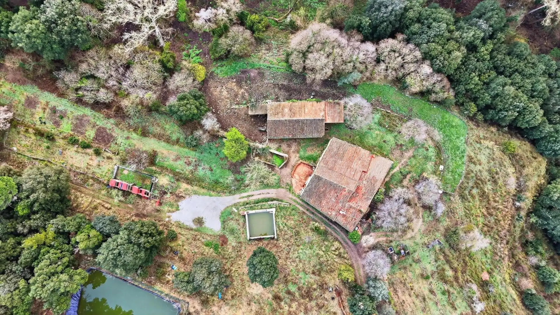 Villa con piscina in vendita a Carretera Montnegre, imagen 47