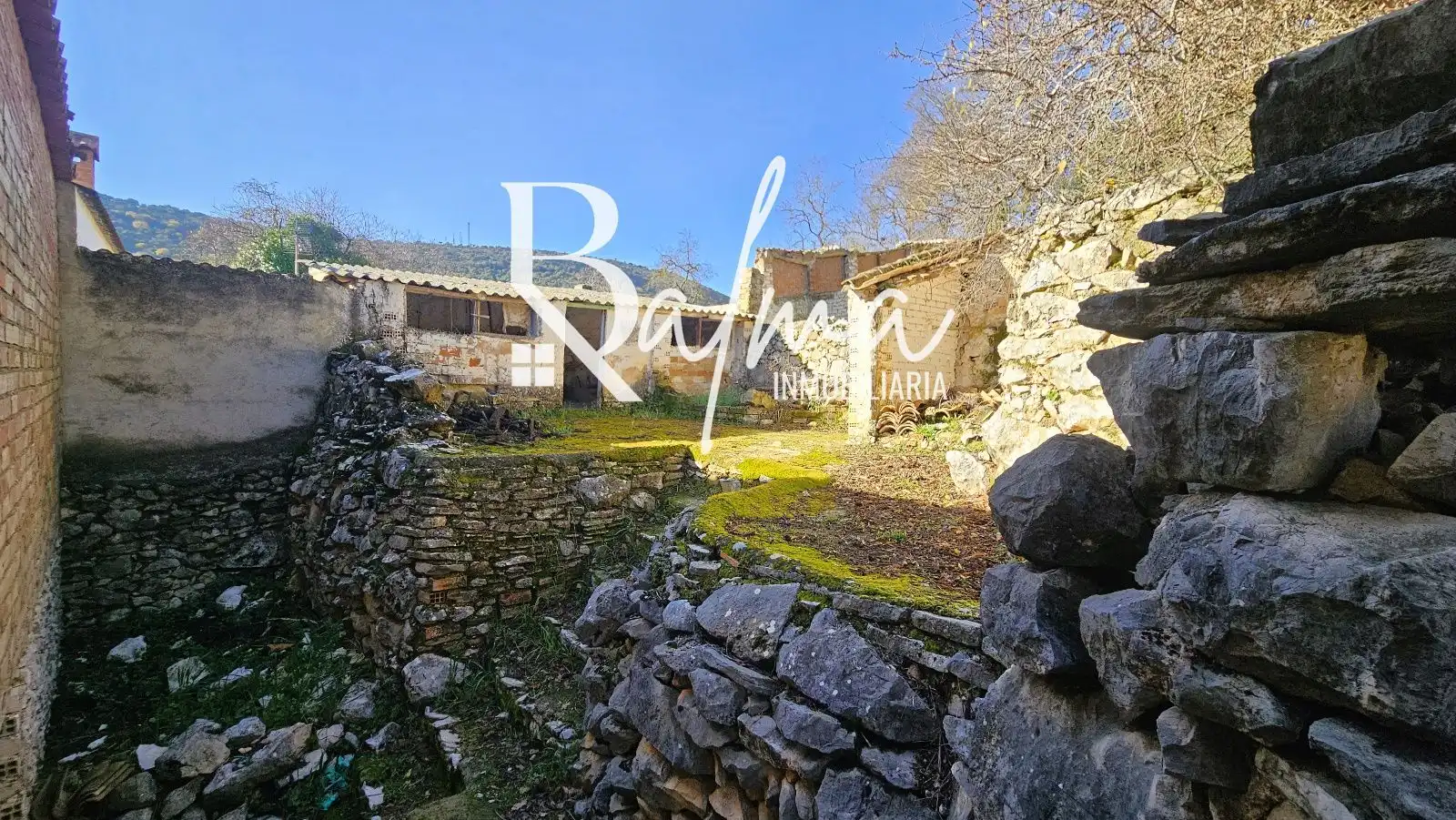 Jardín de Casa o chalet en venta en Alfarnate