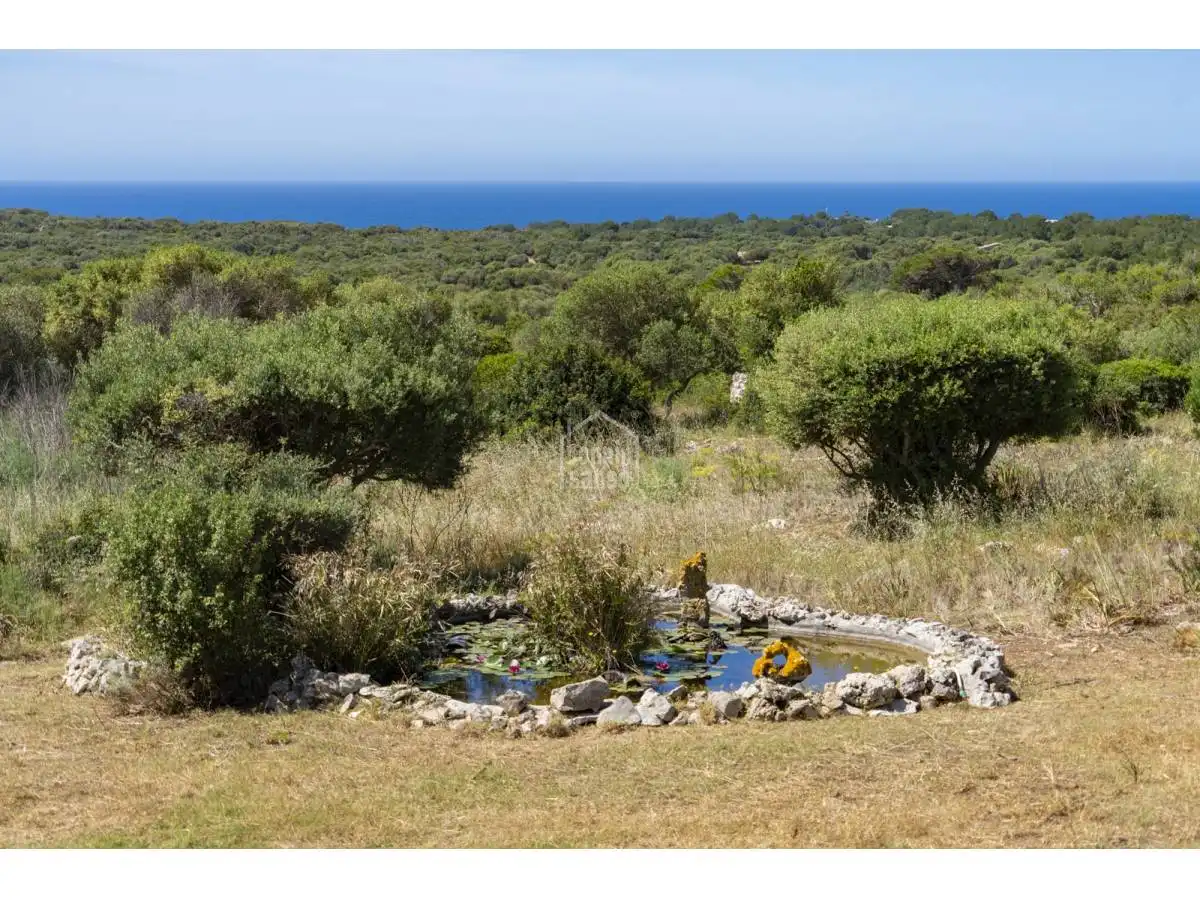 Villa avec piscine à vendre à Sant Lluís - S'Ullestrar - Torret, imagen 30