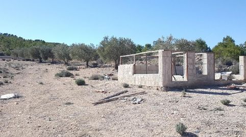 CASACAUDETEPARAJE FUENTE DEL SAZ SN PG 9 PARCELA 827, immagine 5