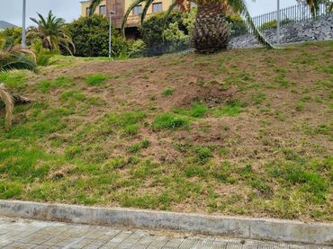 Wohnbaugrundstück zum Verkauf in Calle PALMA