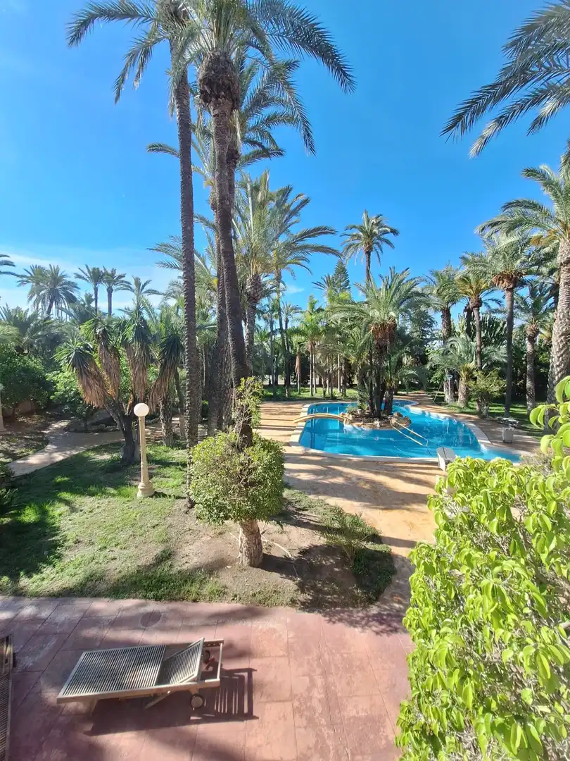 Jardín de Casa o chalet en venta en Elche / Elx