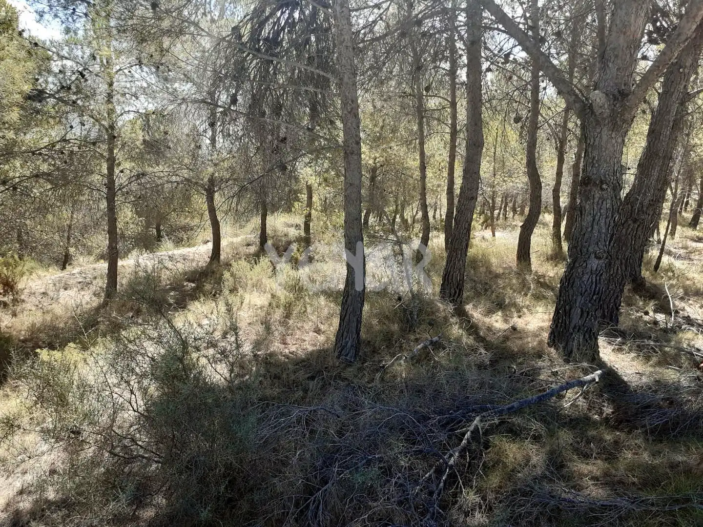 Terreny rústic en venda a Castalla, imagen 4