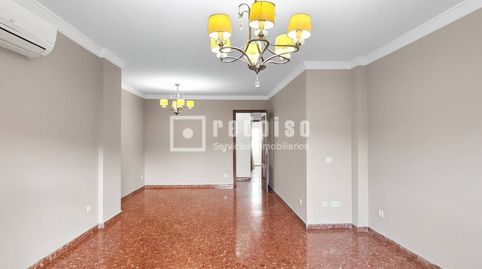 Vivienda luminosa de 4 habitaciones con 2 terrazas en La Roca, Martiricos, imagen 4