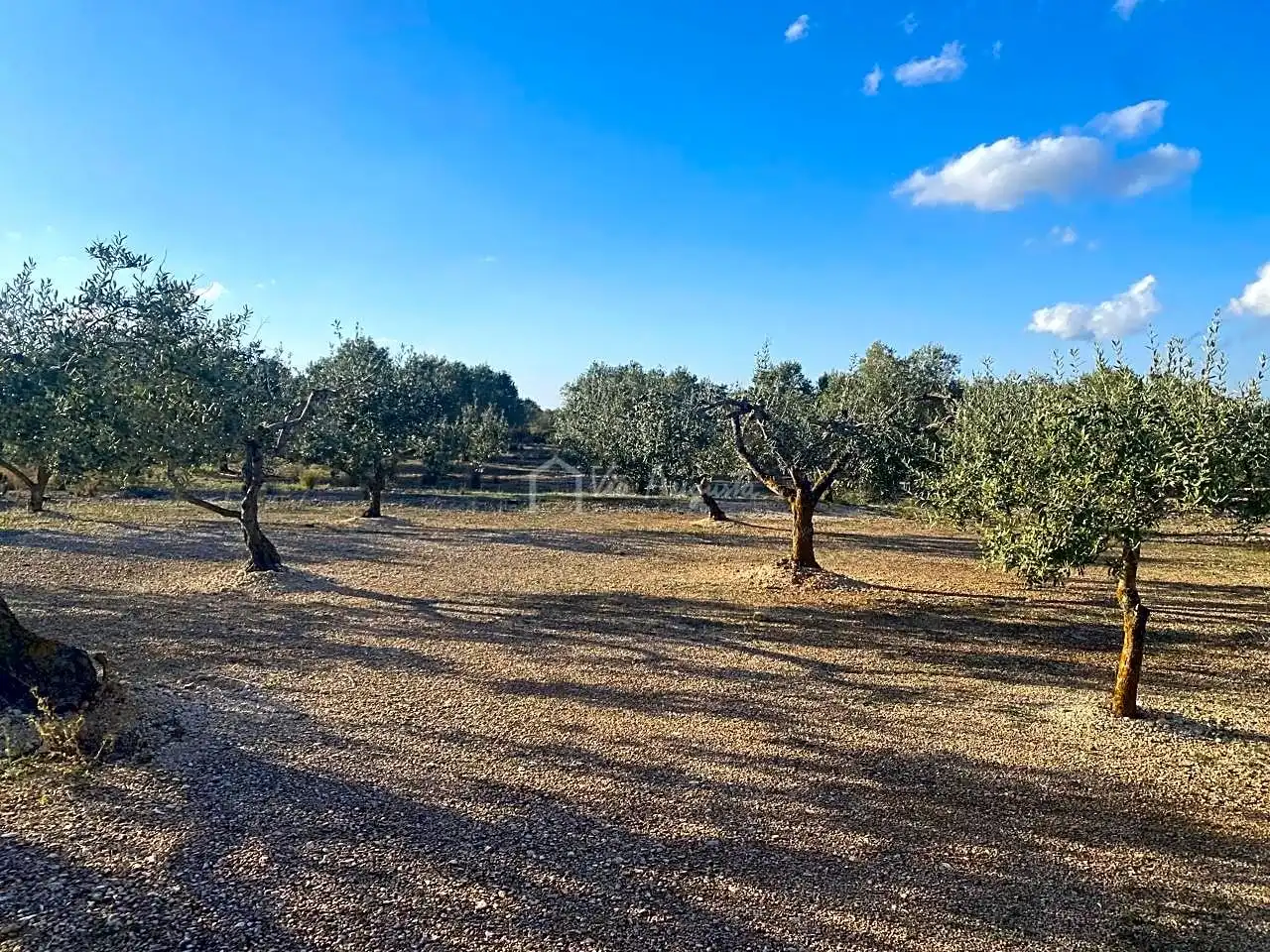 Terreno rustico in vendita a Burgà, imagen 23