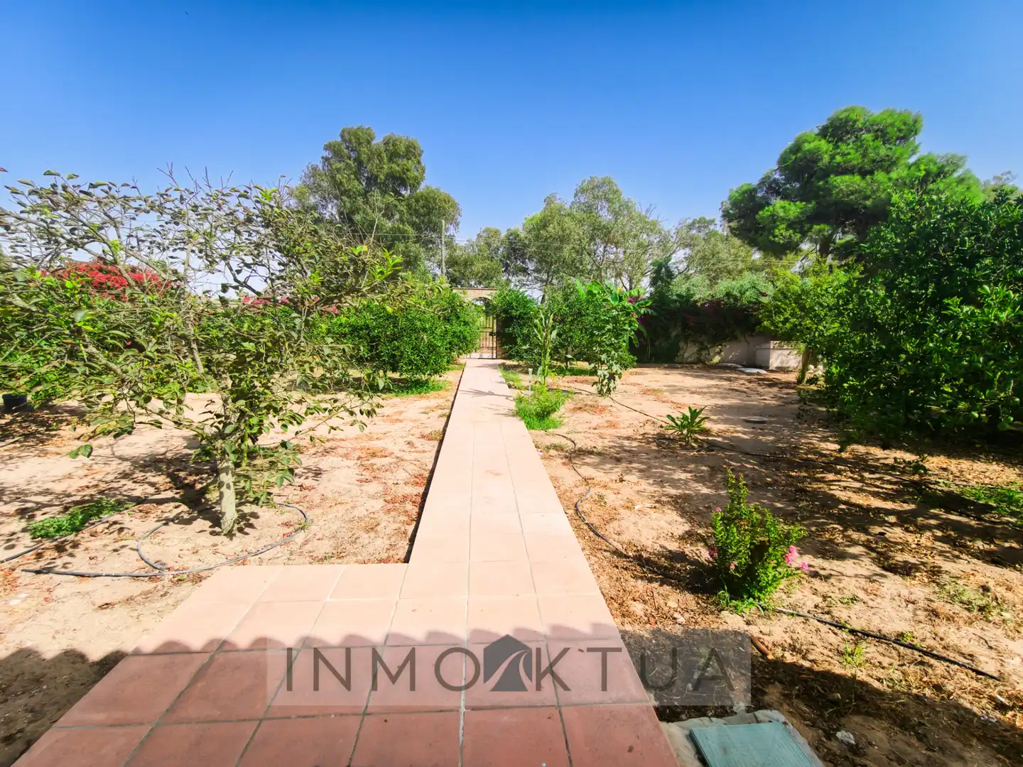 Casa rústica amb jardí en venda a Ctra Sanlúcar - Cuatro Pinos, imagen 2