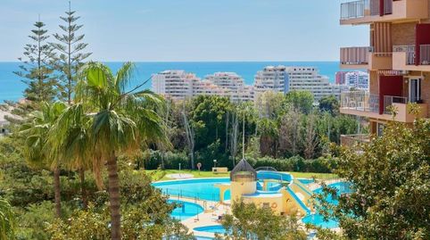 Foto 4 de Estudio de alquiler en Parque de la Paloma, Benalmádena