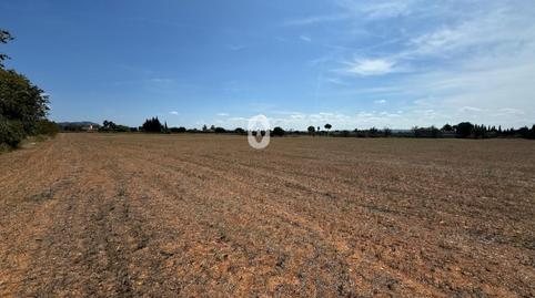 Foto 3 von Grundstücke zum Verkauf in Centro, Inca