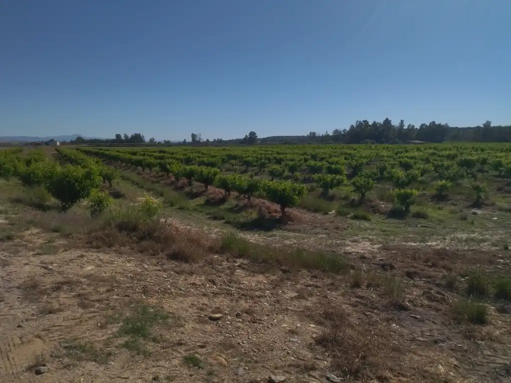 Terreno en venta en Campo Lugar