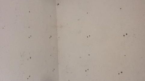 Foto 2 de Trastero de alquiler en Calle de Los Mártires, 53, El Álamo, Madrid