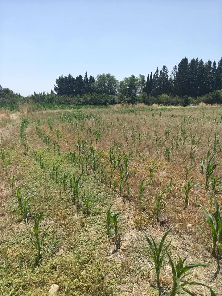 Terreni e lotti in vendita a Camino de Zamoray, imagen 2