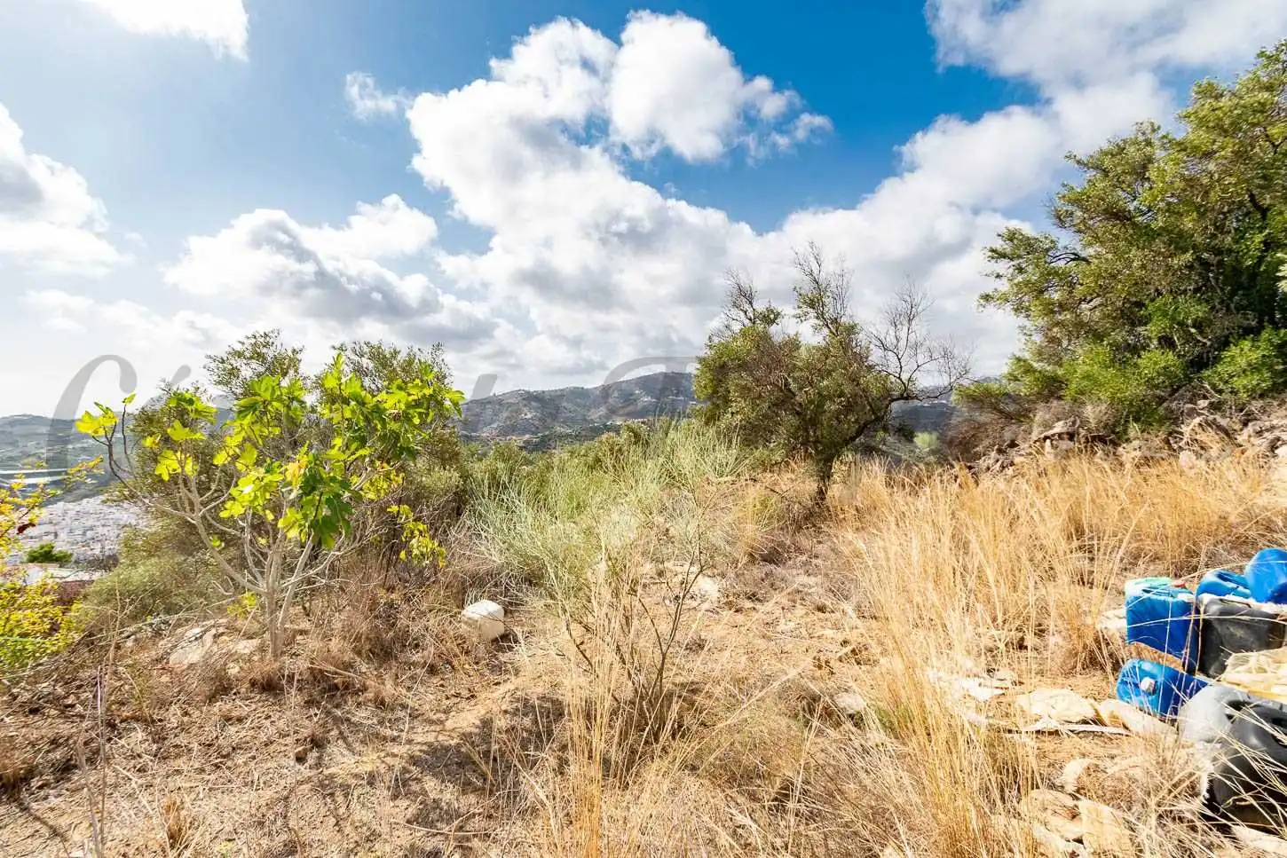 Terreno rústico en venta en Torrox Pueblo, imagen 10