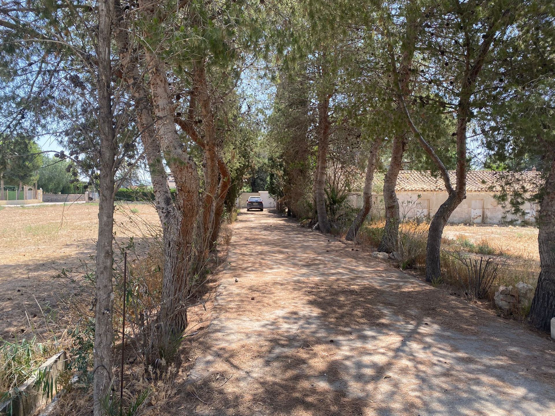 Vista exterior de Casa o chalet en venta en Lorca