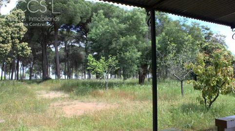 Foto 5 de Finca rústica en venda a Almonte ciudad, Huelva