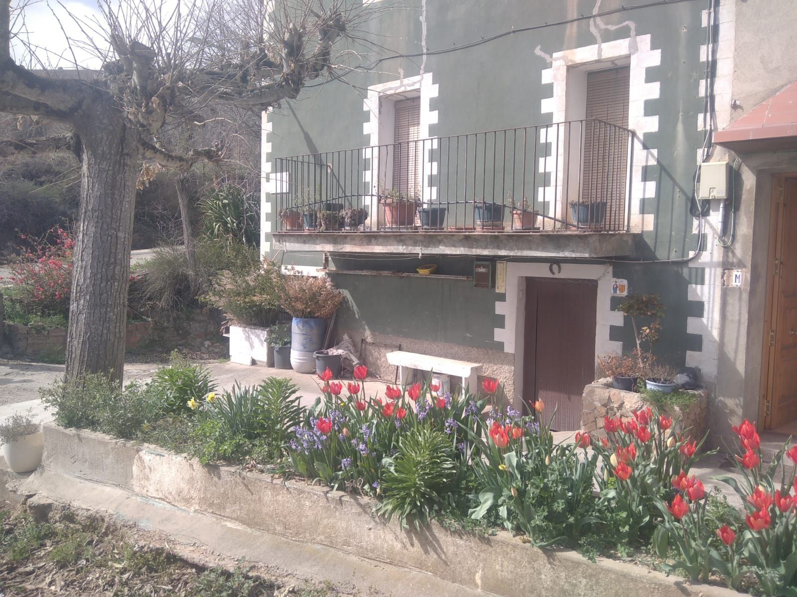 Jardí de Casa o xalet en venda en Artesa de Segre amb Calefacció i Moblat